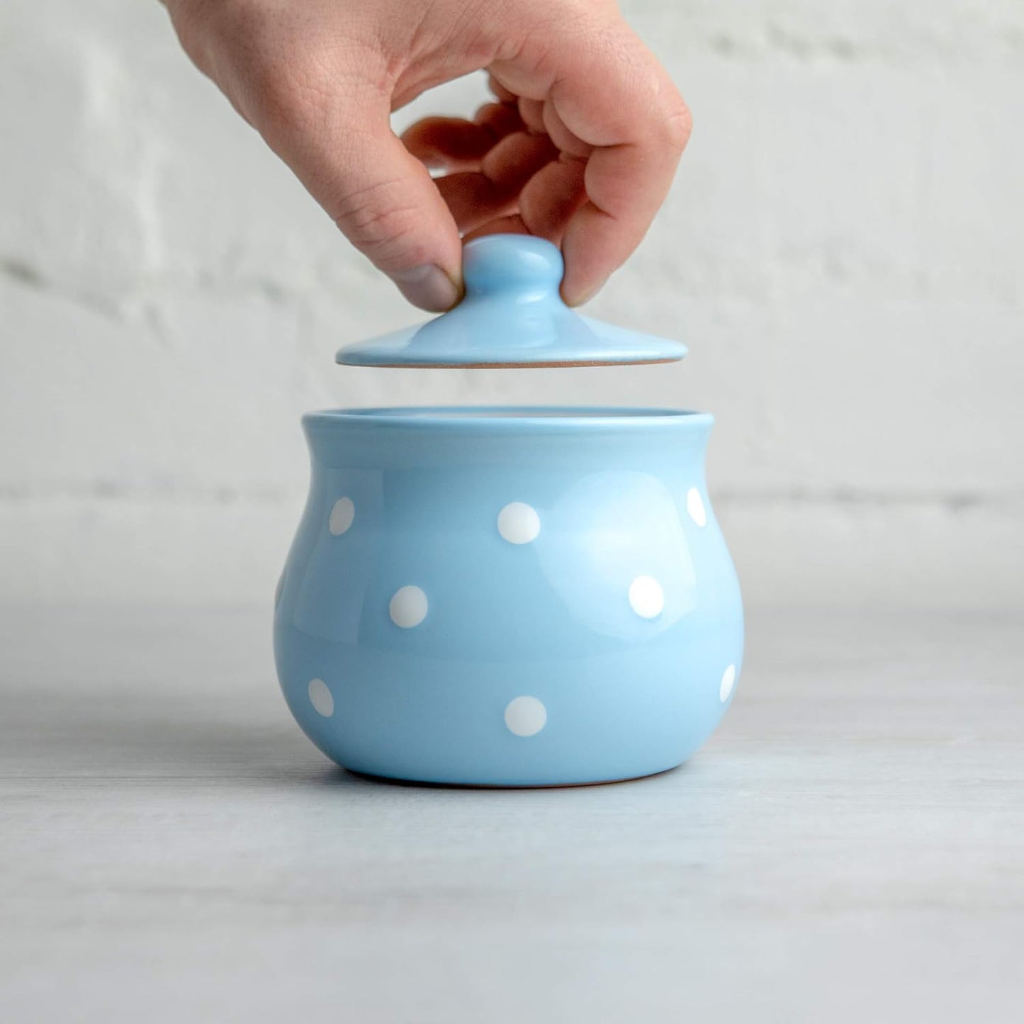 Nordic Style Ceramic Polka Dot Jar with Lid – Blue Candy Jar/Spice Container/Decorative Storage Canister
